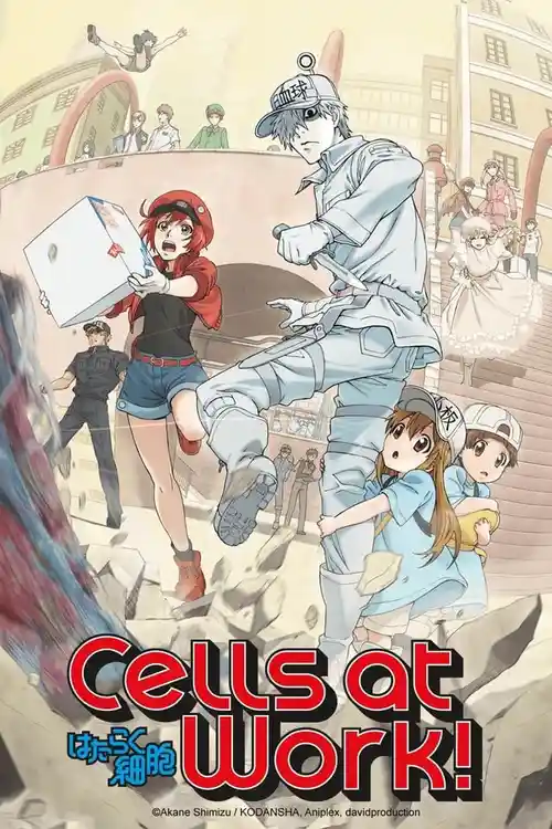Download Cells at Work! (Season 1) Multi Audio {Hindi English Japanese} Anime Series 480p 720p & 1080p Blu Ray 5 cells at work season 1
