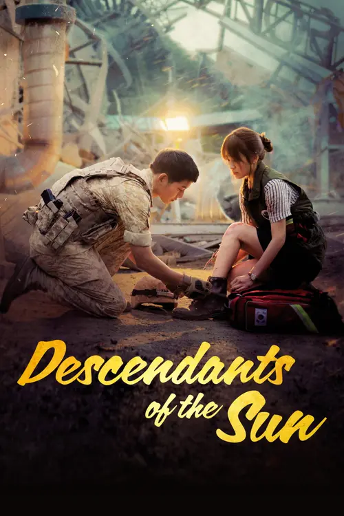 Download Descendants Of The Sun (Season 1) Dual Audio {Hindi Korean} ZEE5 WEB DL Series 720p | 1080p 25 descendants of the sun season 1