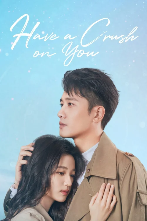 Download Have a Crush on You (Season 1) Dual Audio {Hindi Chinese} Series 480p | 720p | 1080p WEB DL 23 have a crush on you season 1