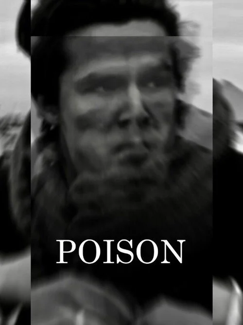 Download Poison (2020) Season 2 Hindi Complete ZEE5 WEB Series 480p | 720p HDRip 2 poison 2020