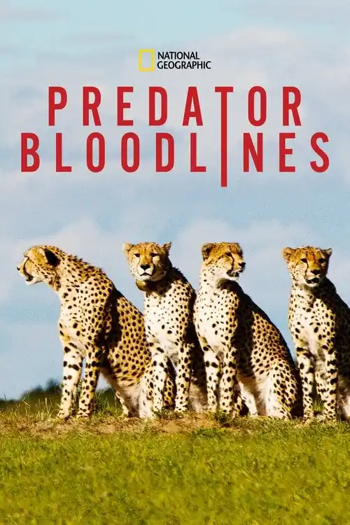 Download Predator Bloodlines (2021) Season 1 Hindi Complete DSNP WEB Series 480p | 720p HDRip 15 predator bloodlines 2021