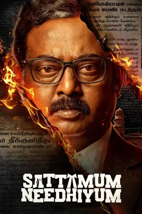 Download Sattamum Needhiyum (Season 1) Hindi Complete Zee5 Web Series 480p | 720p | 1080p WEB DL 7 sattamum needhiyum season 1