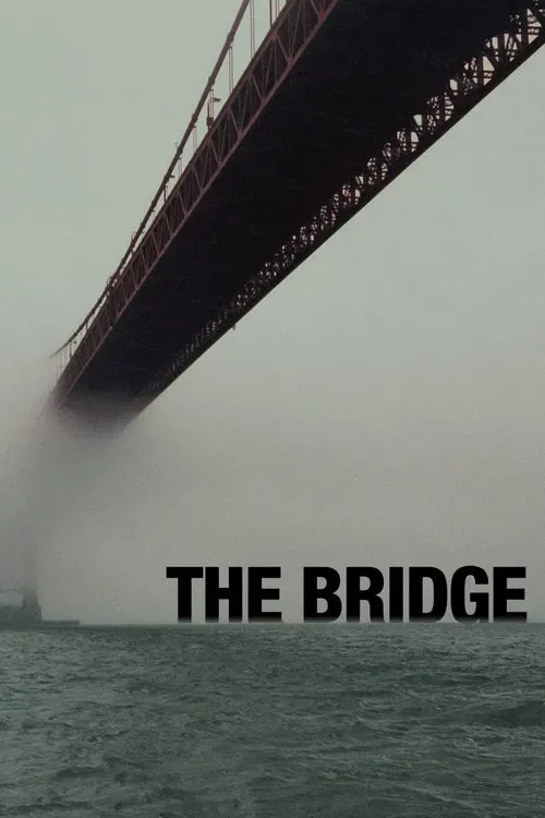 Download The Bridge (Season 1 โ 4) Dual Audio {Hindi English} 480p | 720p | 1080p AMZN WEB DL 14 the bridge season 1