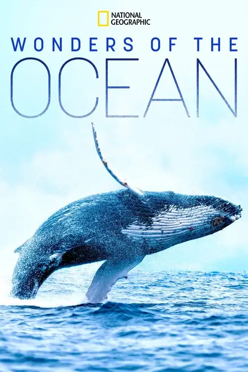 Download Wonders of the Ocean (2021) Season 1 Hindi Complete DSNP WEB Series 480p | 720p HDRip 13 wonders of the ocean 2021