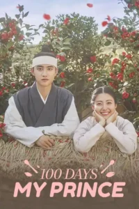 100 days my prince season 1